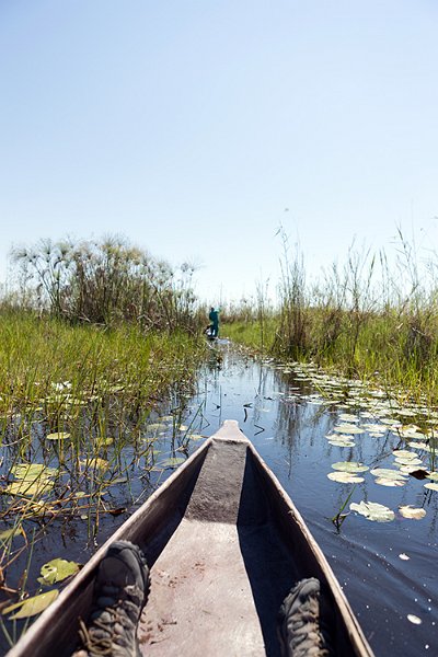 BWA NW OkavangoDelta 2016DEC02 Mokoro 007